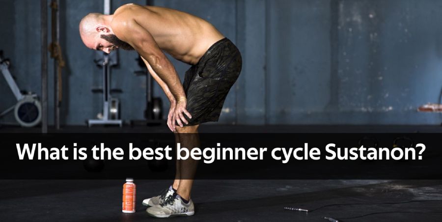 sustanon beginner cycle